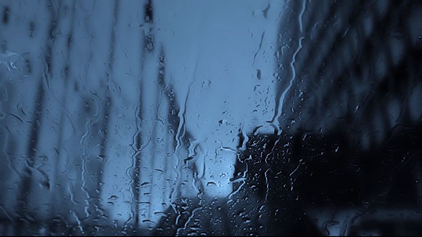 雨の壁紙 動画 Bing 背景動画