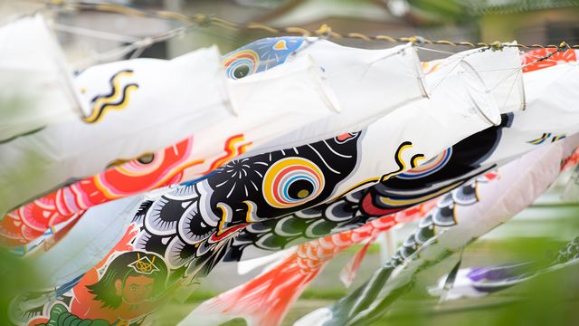 風に泳ぐ鯉のぼり
