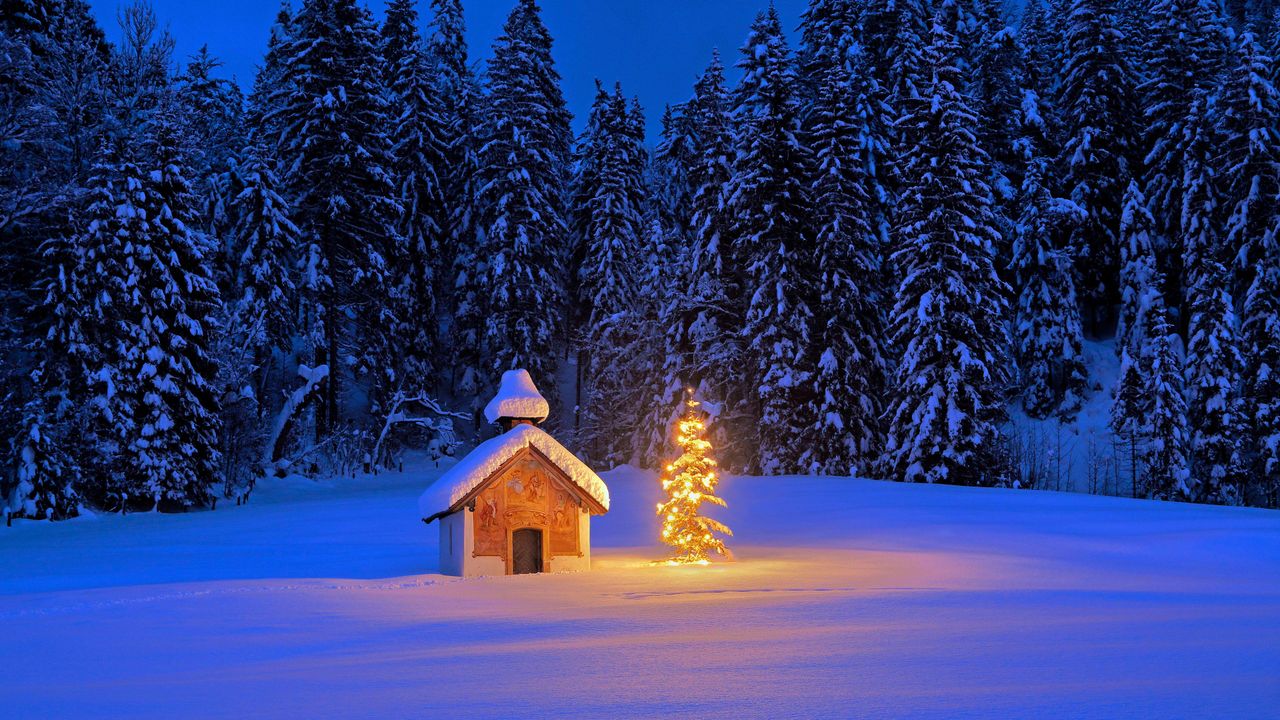 クリスマスツリーで飾られた礼拝堂, ドイツ