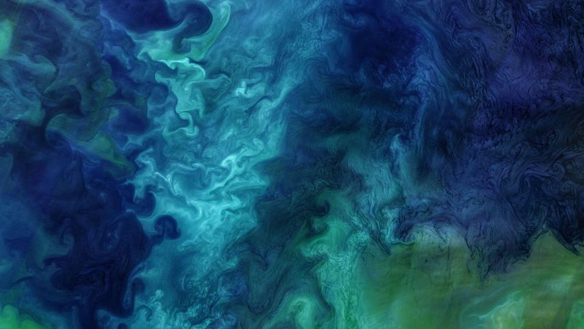 上空から撮影したチュクチ海, 米国 アラスカ