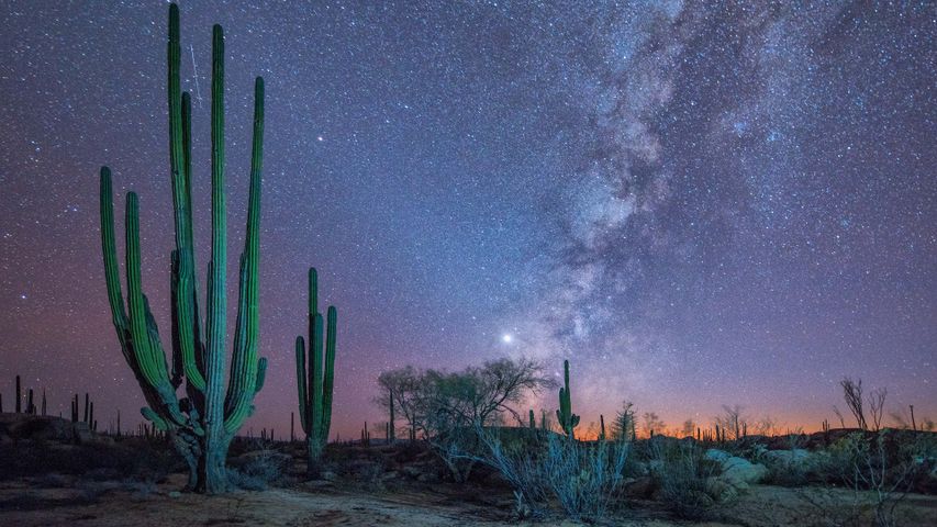 バハ・カリフォルニア州での天体観測